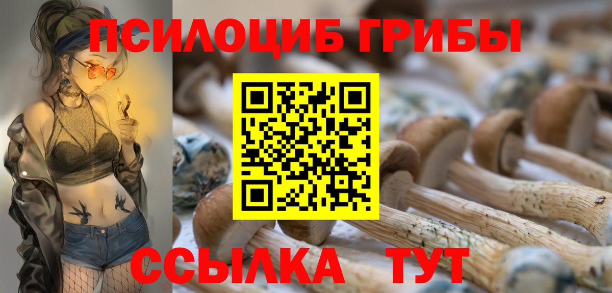 Беслан  Псилоцибиновые грибы GOLDEN TEACHER  Вход с VPN 